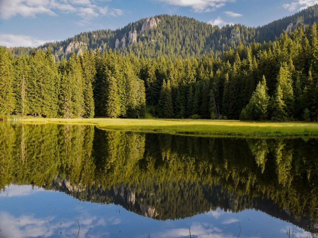 Páramo aberto com picos distantes das montanhas